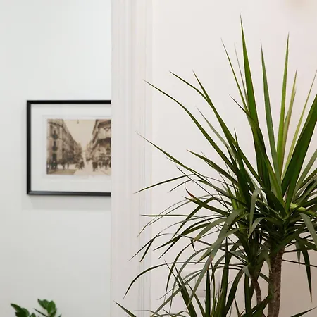 Myth Appartement